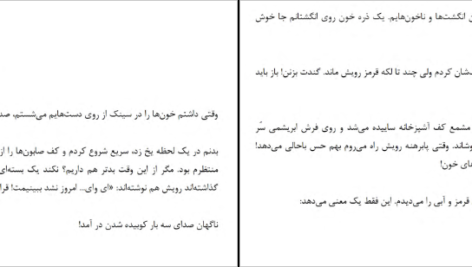 دانلود کتاب مزاحم نشو فریدا مک فادن ۴۹۹ صفحه