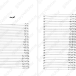 دانلود کتاب دونده هزار تو جلد دوم جیمز دشنر ۴۰۰ صفحه