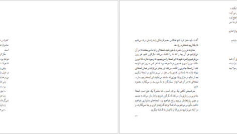 دانلود کتاب کنار رود پیدرا نشستم و گریستم پائولو کوئیلو ۱۱۴ صفحه