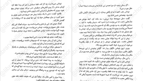 دانلود کتاب دونده هزار تو جلد دوم جیمز دشنر ۴۰۰ صفحه