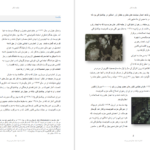 دانلود کتاب قدرت بی‌ قدرتان واسلاو هاول ۱۴۶ صفحه