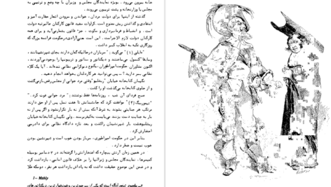 دانلود کتاب ناپلئونی کوچک ویکتور هوگو ۱۵۹ صفحه