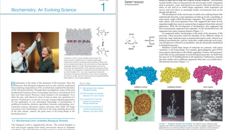 دانلود کتاب biochemistry jeremy m. berg 1224 صفحه
