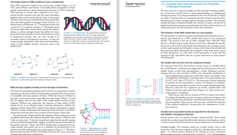 دانلود کتاب biochemistry jeremy m. berg 1224 صفحه