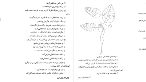 دانلود کتاب ضرب المثل و شوخی های احمد شاملو … ۱۰۶ صفحه