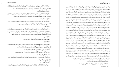 دانلود کتاب زندگی و سرانجام ماری آنتوانت پیر زلوف ۵۸۱ صفحه
