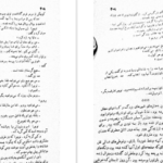 دانلود کتاب کوکائین پیتی گریلی ۲۱۳ صفحه