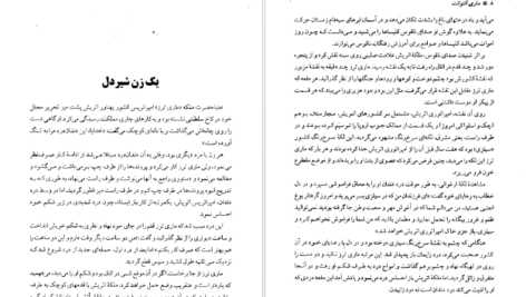 دانلود کتاب زندگی و سرانجام ماری آنتوانت پیر زلوف ۵۸۱ صفحه