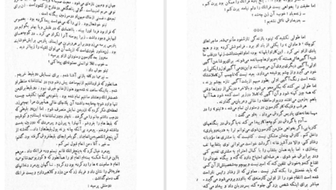 دانلود کتاب کوکائین پیتی گریلی ۲۱۳ صفحه