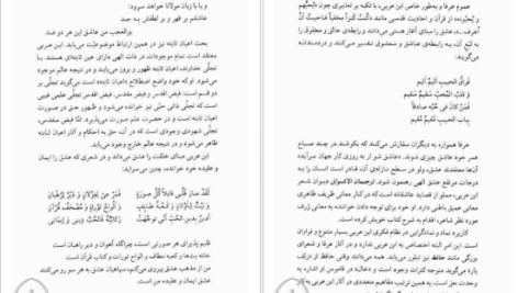 دانلود کتاب نمادگرایی در اندیشه ابن عربی ابراهیم مدکور ۲۴۸ صفحه