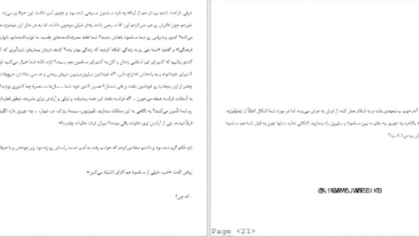 دانلود کتاب خاطرات سفیر نیلوفر شادمهری ۱۴۰ صفحه