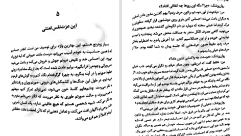 دانلود کتاب می خواهم بمیرم ولی دوست دارم دوکبوکی بخورم ۱۴۵ صفحه