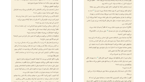 دانلود کتاب همکار فریدا مک فادن ۳۱۴ صفحه
