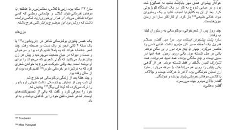 دانلود کتاب یک افسانه زندگی چارلز بوکاوسکی رونی هاگ ۱۷۹ صفحه