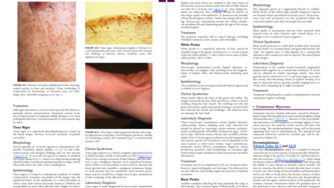 دانلود کتاب Medical Microbiology ماری ۹۲۳ صفحه