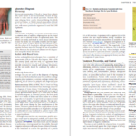دانلود کتاب Medical Microbiology ماری ۹۲۳ صفحه