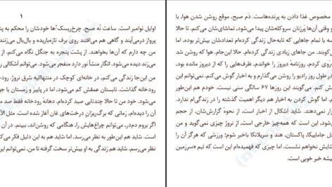 دانلود کتاب به هوای دزدیدن اسب‌ها پرپترسون ۳۱۸ صفحه