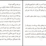 دانلود کتاب به هوای دزدیدن اسب‌ها پرپترسون ۳۱۸ صفحه