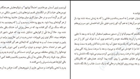 دانلود کتاب به هوای دزدیدن اسب‌ها پرپترسون ۳۱۸ صفحه