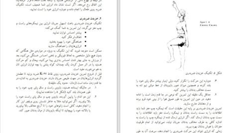 دانلود کتاب طب انرژی دانا ایدن ۴۶۰ صفحه