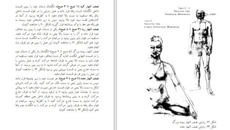 دانلود کتاب طب انرژی دانا ایدن ۴۶۰ صفحه