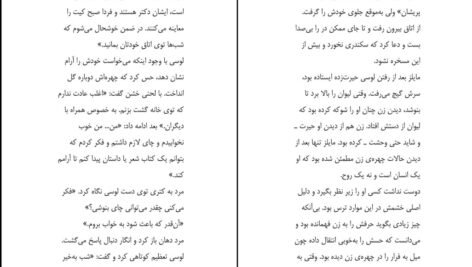 دانلود کتاب دیو کوکی و دلبر نانسی الن ۷۴۳ صفحه