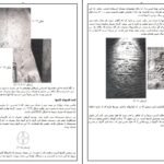 دانلود کتاب گل حیات درون والوملکیزدک ۹۹ صفحه