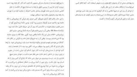 دانلود کتاب شکار و تاریکی ادوگاوا رانپو ۷۴ صفحه