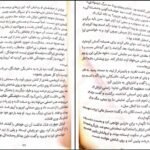 دانلود کتاب خواهر خوانده جنیفر دانلی ۳۳۶ صفحه