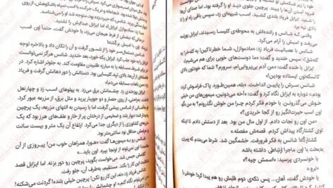دانلود کتاب خواهر خوانده جنیفر دانلی ۳۳۶ صفحه