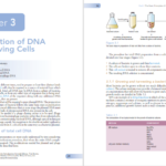 دانلود کتاب Gene Cloning And Dna Analysis Seventh Edition 377 صفحه