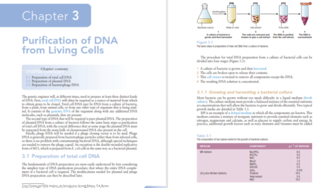 دانلود کتاب Gene Cloning And Dna Analysis Seventh Edition 377 صفحه