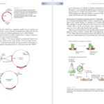 دانلود کتاب Gene Cloning And Dna Analysis Seventh Edition 377 صفحه