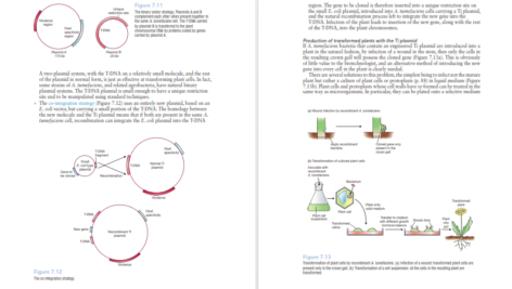 دانلود کتاب Gene Cloning And Dna Analysis Seventh Edition 377 صفحه
