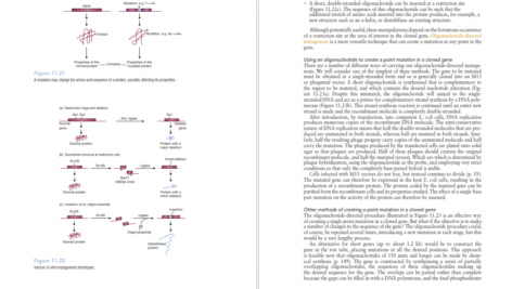 دانلود کتاب Gene Cloning And Dna Analysis Seventh Edition 377 صفحه