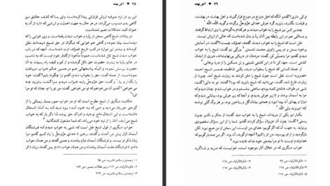 دانلود کتاب آتش نهفته بایزید بسطامی ۴۱۱ صفحه