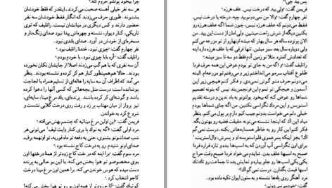 دانلود کتاب اسب‌های خالدار ویلیام فاکنر ۱۹۸ صفحه