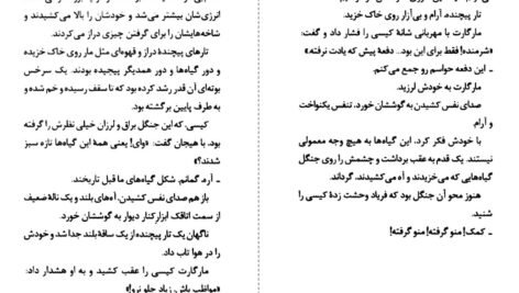 دانلود کتاب به زیرزمین نزدیک نشو آر. ال. استاین ۱۷۲ صفحه
