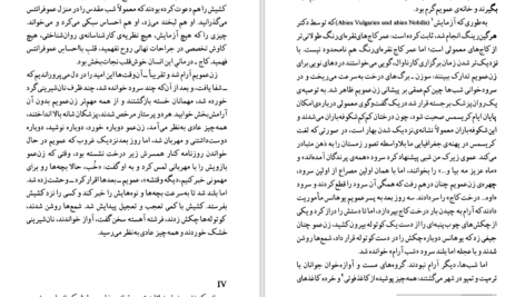 دانلود کتاب تا زمانی که هاینریش بل ۲۸۸ صفحه