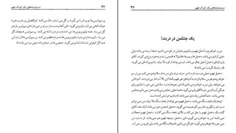 دانلود کتاب دست نوشته‌های یک کودک فهیم امیر مهدی ژوله ۹۱ صفحه