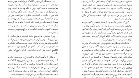 دانلود کتاب سه داستان گوستاو فلوبر ۲۰۱ صفحه