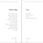 دانلود کتاب شاعر ژولیده کاوه نادی حیدری ۱۵۴ صفحه
