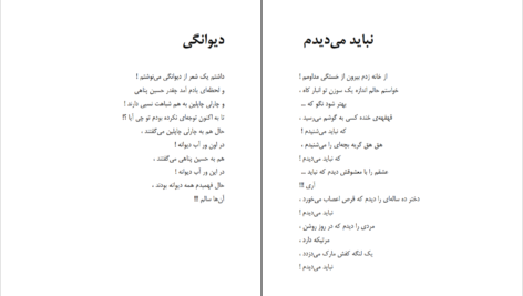 دانلود کتاب شاعر ژولیده کاوه نادی حیدری ۱۵۴ صفحه