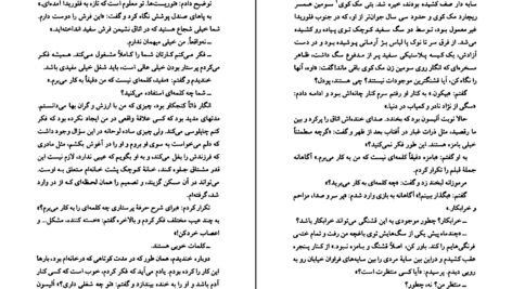 دانلود کتاب نجواها و دروغ‌ها جوی فیلدینگ ۳۹۵ صفحه