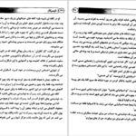 دانلود کتاب طغیان ببر کیت دی کامیلو ۶۵ صفحه