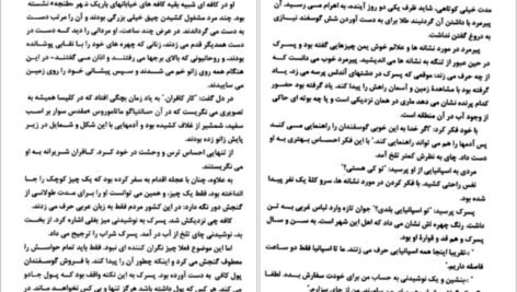 دانلود کتاب طغیان ببر کیت دی کامیلو ۶۵ صفحه