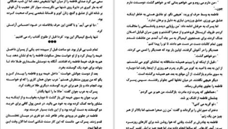 دانلود کتاب طغیان ببر کیت دی کامیلو ۶۵ صفحه