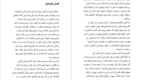 دانلود کتاب وفورکاترین‌ها جان گرین ۳۸۹ صفحه