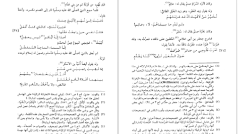 دانلود کتاب الأصنام أبو المنذر هشام بن محمد بن السائب الکلی ۱۶۱ صفحه