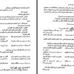 دانلود کتاب دستور تطبیقی زبان ترکی و فارسی حسن احمدی گیوی ۶۱۹ صفحه